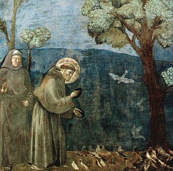 Sermon to the Birds, by Giotto